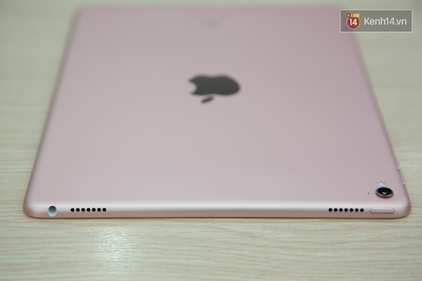Cận cảnh chiếc iPad Pro vàng hồng có camera lồi vừa về Việt Nam - Ảnh 7.