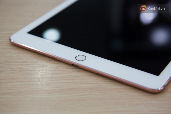 Cận cảnh chiếc iPad Pro vàng hồng có camera lồi vừa về Việt Nam - Ảnh 8.