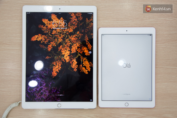 Cận cảnh chiếc iPad Pro vàng hồng có camera lồi vừa về Việt Nam - Ảnh 4.