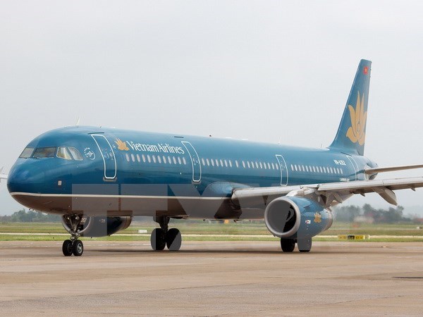 “Máy bay Vietnam Airlines hỏng lốp có thể là do vật ngoại lai” - Ảnh 1.