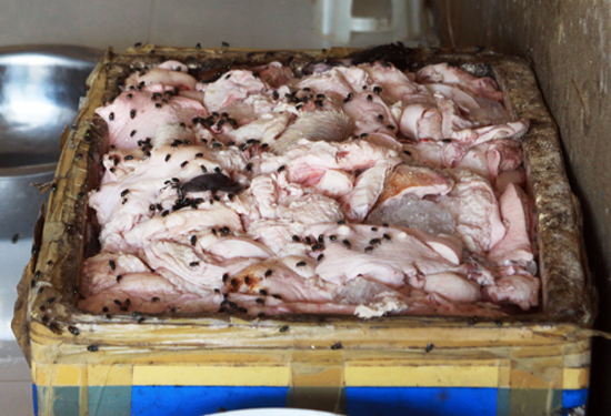 Phát hiện hơn 1 tấn lòng lợn đã chuyển màu và bốc mùi hôi thối - Ảnh 1.