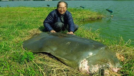Bảo quản l&acirc;u d&agrave;i x&aacute;c r&ugrave;a Ho&agrave;n Kiếm - Ảnh 1.
