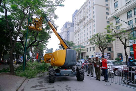 Hà Nội chi hàng tỷ đồng mua xe chuyên dụng cắt tỉa cây xanh - Ảnh 1.