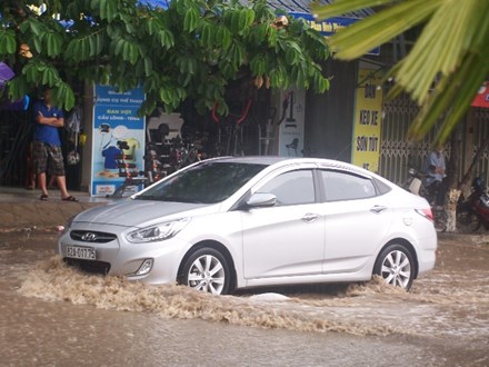 Kon Tum: Xuất hiện trận mưa vàng cứu hàng trăm héc ta cà phê - Ảnh 1.