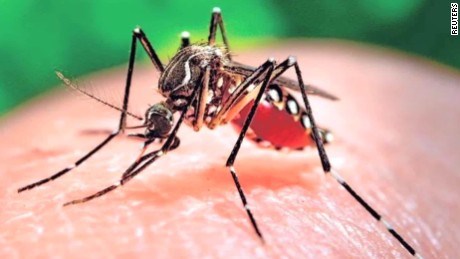 Việt Nam công bố hết dịch Zika - Ảnh 1.