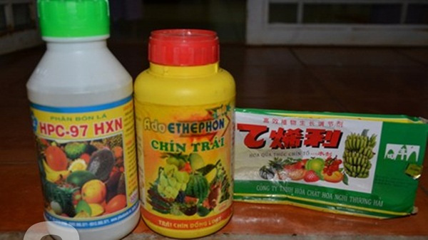H&oacute;a chất biến m&iacute;t xanh non th&agrave;nh m&iacute;t ch&iacute;n v&agrave;ng thơm lừng sau 24g: B&aacute;n tr&agrave;n lan, mua dễ d&agrave;ng - Ảnh 1.