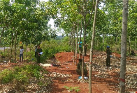 Nam thanh niên giết bạn, giấu xác trong rừng - Ảnh 1.