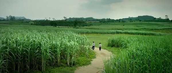 Những trailer phim điện ảnh Việt khiến khán giả xuýt xoa - Ảnh 15.