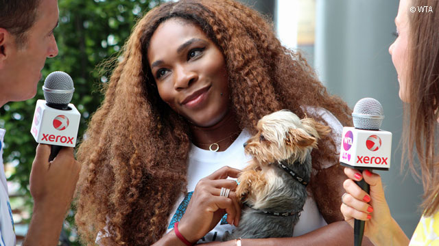 Chơi trội ăn đồ của chó, Serena Williams nhận kết cục "đắng lòng"