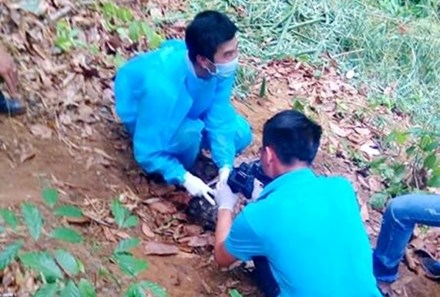 Ph&aacute;t hiện x&aacute;c người trơ xương tr&ecirc;n đ&egrave;o Chuối - Ảnh 1.