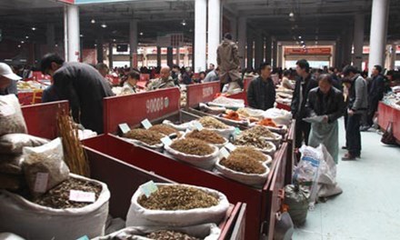 Thuốc bắc chứa v&agrave;i chục loại thuốc trừ s&acirc;u - Ảnh 1.