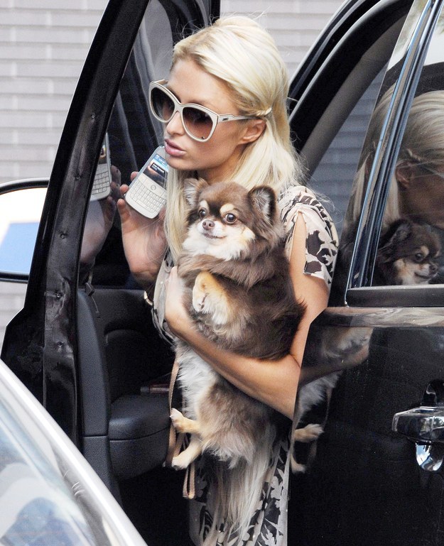 Bộ sưu tập điện thoại đồ sộ của nữ hoàng rắc rối Paris Hilton - Ảnh 16.
