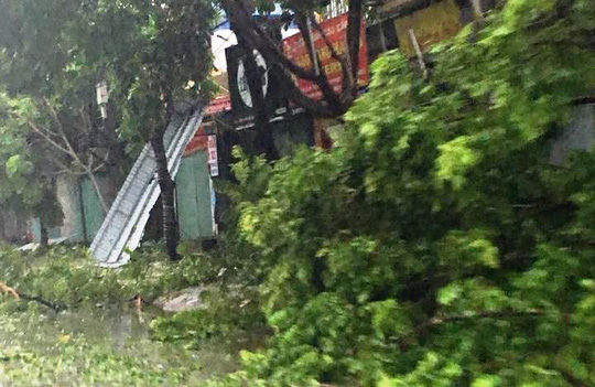 Toàn tỉnh Ninh Bình mất điện vì bão số 1 - Ảnh 1.