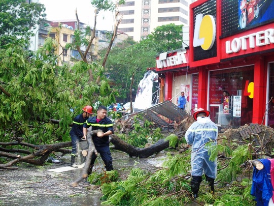 Hà Nội: Không thể nói cây đổ trong bão số 1 là do sai quy trình - Ảnh 1.