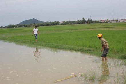 Hà Tĩnh: Hai học sinh chết đuối thương tâm sau lễ khai giảng - Ảnh 1.