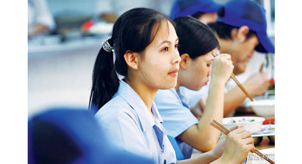 Giọt nước mắt của những ông cử bà thạc bỏ việc lương bèo ở phố thị về quê làm công nhân - Ảnh 1.