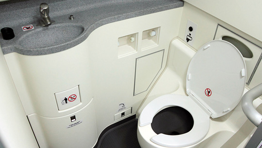 Phát hiện thi thể trẻ sơ sinh trong toilet máy bay - Ảnh 1.