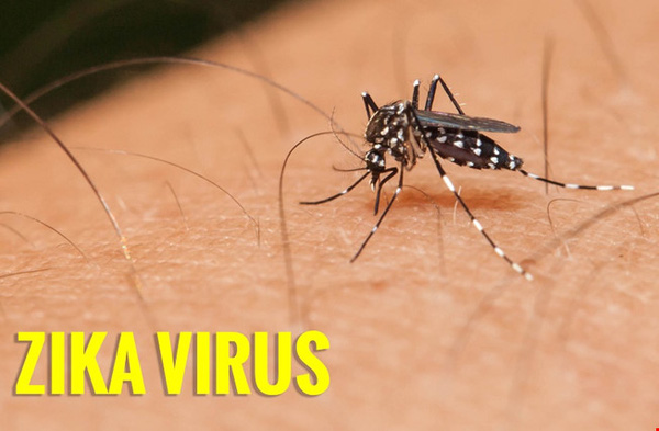 Th&ecirc;m 1 bệnh nhi nhiễm virus Zika - Ảnh 1.