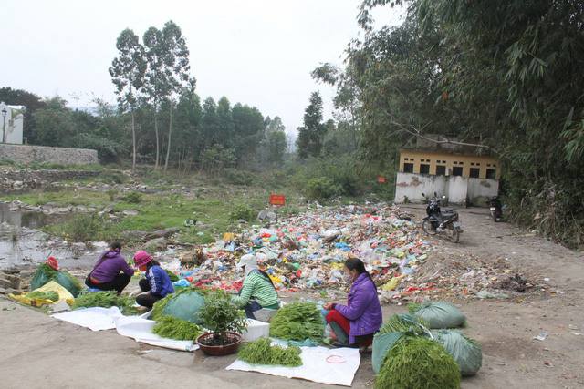 Người dân Tam Đảo viết tâm thư đề nghị dân phượt ngừng trộm rau và vứt rác bừa bãi - Ảnh 3.