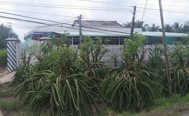 Ba mẹ con chết thảm do uống thuốc diệt cỏ - Ảnh 1.