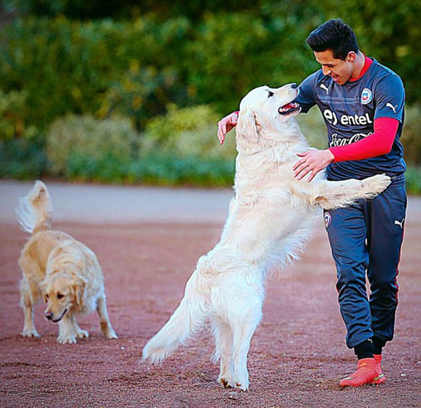 Vì sao hai chú chó đáng yêu nhà Alexis Sanchez lại có tên là Atom và Humber?