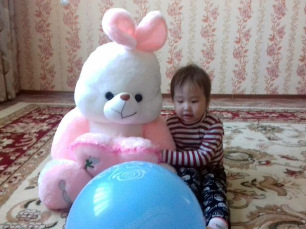 Sau khi ăn b&aacute;nh Doner Kebabs, b&eacute; g&aacute;i 2 tuổi thiệt mạng, anh trai nguy kịch nằm trong viện - Ảnh 2.