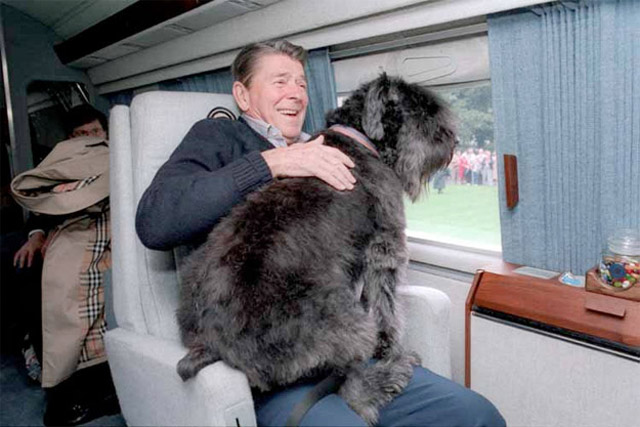 Sau Bo và Sunny của Tổng thống Barack Obama, con vật nào sẽ là đệ nhất thú cưng mới trong Nhà Trắng? - Ảnh 7.