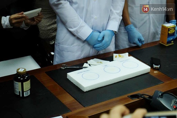 Clip các chuyên gia Bộ Y Tế làm thử nghiệm: Dầu cá Mỹ ăn mòn xốp mạnh nhất - Ảnh 3.