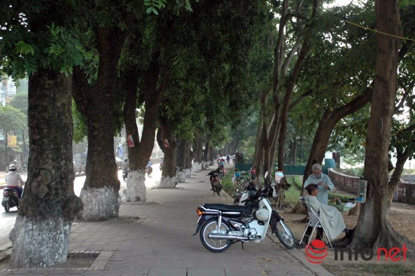 Sau Tết, h&agrave;ng c&acirc;y x&agrave; cừ b&ecirc;n hồ Thủ Lệ sẽ bị đ&aacute;nh chuyển, chặt hạ - Ảnh 2.