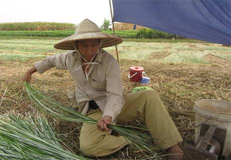 10 năm bị chồng bạo hành của phó chủ tịch quỹ hàng tỷ đô la - Ảnh 2.