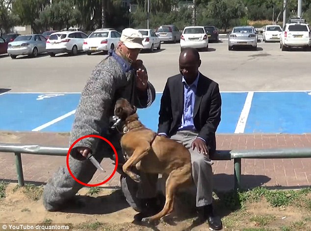 Xem video này bạn sẽ thấy phản xạ nhanh không tin nổi của chó đặc nhiệm khi chủ bị tấn công - Ảnh 2.