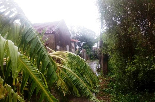 To&agrave;n tỉnh Ninh B&igrave;nh mất điện v&igrave; b&atilde;o số 1 - Ảnh 2.
