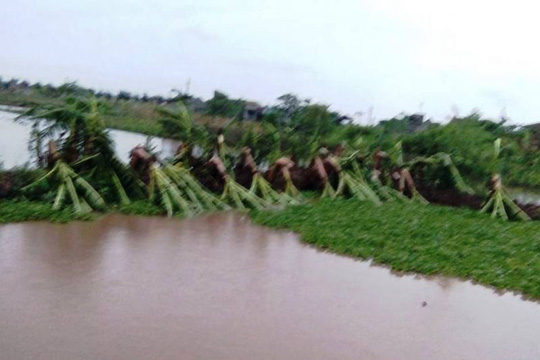 Toàn tỉnh Ninh Bình mất điện vì bão số 1 - Ảnh 5.