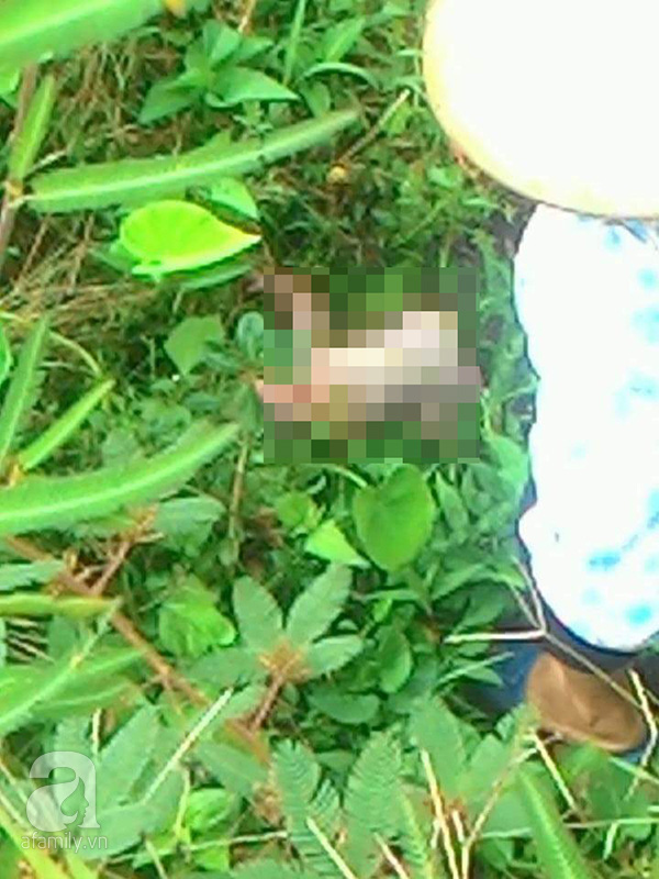 Điện Biên: Bé trai sơ sinh còn nguyên dây rốn bị bỏ rơi trong khu vườn - Ảnh 2.
