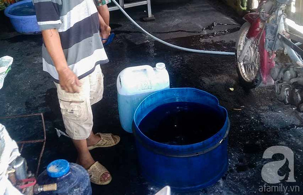 TP.HCM: Ph&aacute;t hiện h&agrave;ng tấn rau muống ng&acirc;m h&oacute;a chất nhuộm quần &aacute;o để xanh tươi - Ảnh 2.