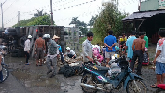Cảm động h&agrave;ng trăm người gom 800 con vịt tr&ecirc;n Quốc lộ 1 - Ảnh 3.