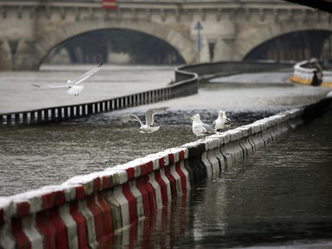 Paris chìm trong trận lụt lớn nhất 100 năm qua - Ảnh 22.