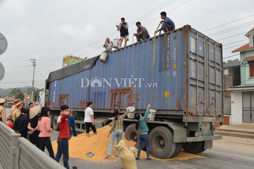 Hình ảnh đẹp: CSGT cùng dân gom ngô cho chủ xe gặp nạn - Ảnh 3.