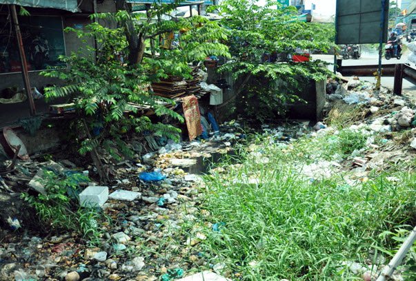 Những &ldquo;ổ chứa&rdquo;cho muỗi sinh s&ocirc;i ph&aacute;t triển ở S&agrave;i G&ograve;n - Ảnh 1.