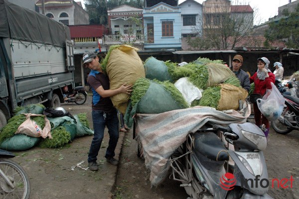 Rau an toàn không kiểm soát chặt, 20 năm chưa có ai ngộ độc! - Ảnh 3.