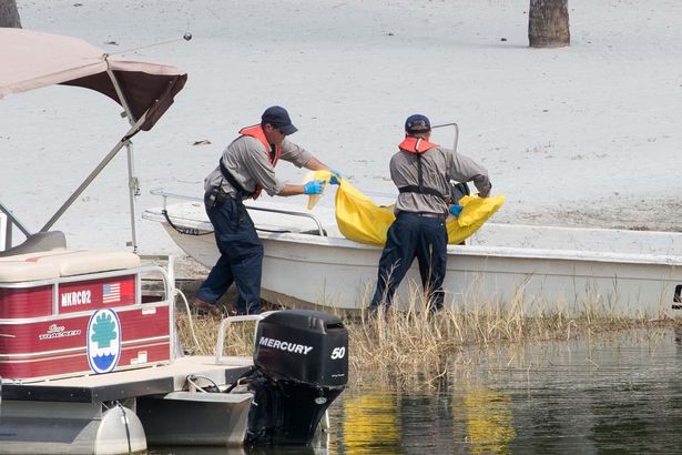 Đã tìm thấy thi thể của cậu bé bị cá sấu kéo xuống hồ gần Disney World - Ảnh 3.