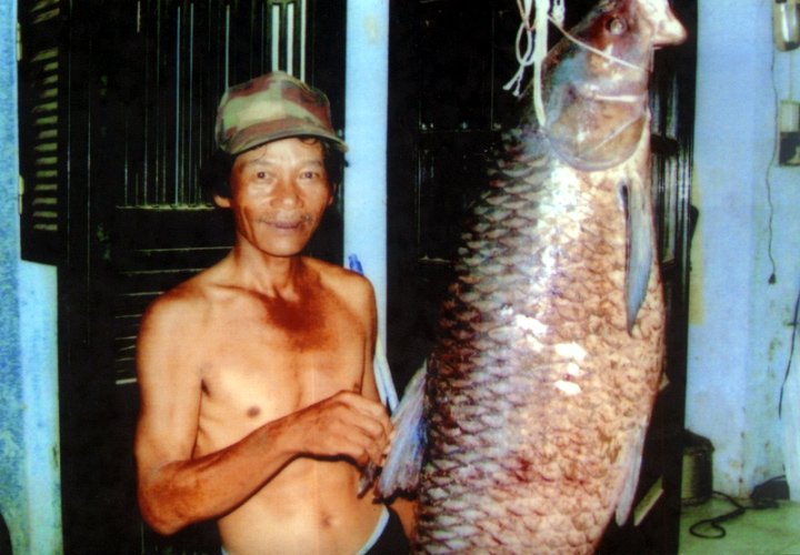 Những chuyện th&uacute; vị về lo&agrave;i khủng long ẩn m&igrave;nh dưới đ&aacute;y hồ T&acirc;y - Ảnh 4.