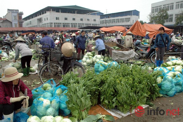 Rau an toàn không kiểm soát chặt, 20 năm chưa có ai ngộ độc! - Ảnh 4.