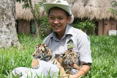 4 &ldquo;F1&rdquo; hổ qu&yacute; Bengal ch&agrave;o đời tại Vinpearl Safari - Ảnh 4.
