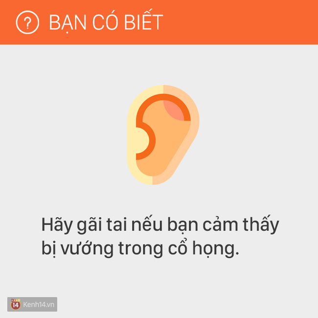 Hãy nhớ kỹ 11 mẹo hay này trong cuộc sống, bạn sẽ chẳng bao giờ cảm thấy phiền hà khó chịu với cơ thể nữa! - Ảnh 4.