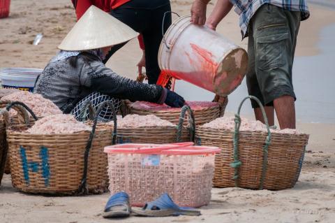 Ngư dân đổ hóa chất nhuộm ruốc: Làm thuê cho đầu nậu - Ảnh 5.