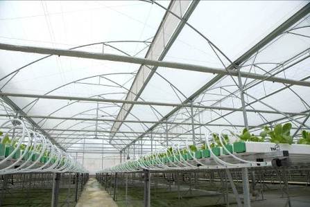 “Mục sở thị” công nghệ nông nghiệp đỉnh cao của Israel tại VinEco - Ảnh 5.