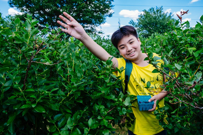 Học sinh Vinschool ghi điểm với bạn bè quốc tế về khả năng tiếng Anh - Ảnh 6.