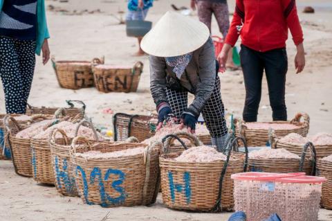 Ngư dân đổ hóa chất nhuộm ruốc: Làm thuê cho đầu nậu - Ảnh 6.