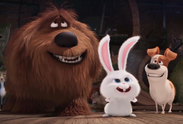 The Secret Life of Pets - Đại tiệc thú cưng hấp dẫn và đầy màu sắc - Ảnh 5.